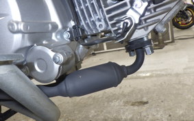 HONDA ｸﾛｽｶﾌﾞ50 2025 AA06