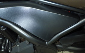 HONDA REBEL 250 S MC49