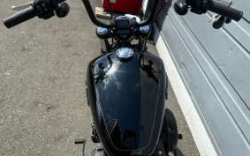 HARLEY FXBB 2019 YJJ
