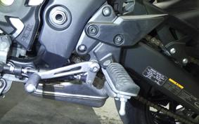 KAWASAKI NINJA 1000SX 2024 ZXT02K
