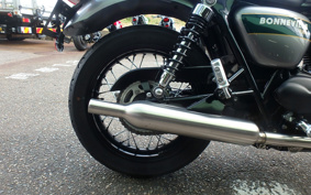 TRIUMPH TRIUMPH BONNEVILLE T100 2021 DAD70G