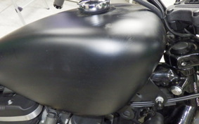 HARLEY XL883N 2015