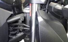 KAWASAKI Z250 Gen.2 2024 EX250P