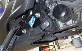 HONDA FORZA 250 2007 MF13