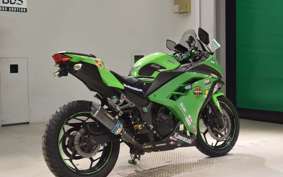 KAWASAKI NINJA 250 2010 EX250L