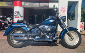 HARLEY FLSTF 100th 2002 BMY
