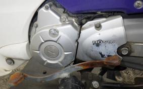 HONDA C110 SUPER CUB