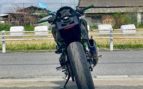 KAWASAKI Z900 2021 ZR900B