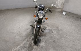 YAMAHA VIRAGO 250 3DM