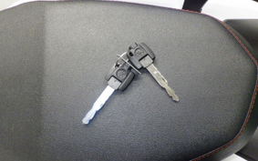 YAMAHA CYGNUSｸﾞﾘﾌｧｽ 2025 SEJ4J