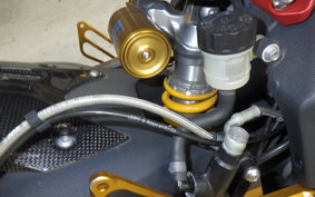 TRIUMPH DAYTONA 675 R 2015