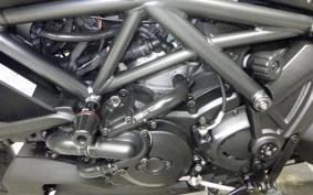 DUCATI ディアVERDEィーゼル 2019