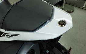 YAMAHA YZF-R1 2009 RN24J