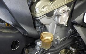 DUCATI 1199 PANIGALE S 2013