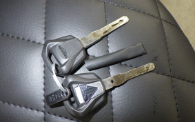 TRIUMPH SCRAMBLER400X 2024