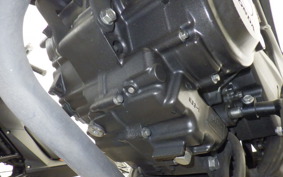 HONDA CBR250R GEN 3 MC41