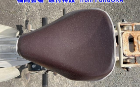 OTHER  LITTLE CUB -FI