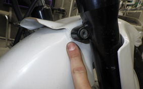 HONDA VT250FG 2022 MC15