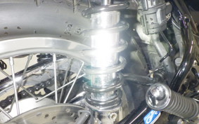 KAWASAKI W800 2020 EJ800B