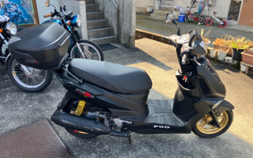 PGO TIGRA 168R