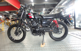 KAWASAKI W175 TR BJ175C