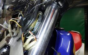 HONDA FTR250 2001 MD17