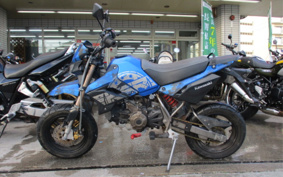 KAWASAKI KSR110 KL110D