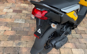 HONDA ZOOMER-X JF52