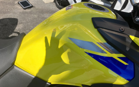 SUZUKI DL650 ( V-Strom 650 ) 2022 C733M