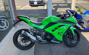 KAWASAKI NINJA 250 EX250L