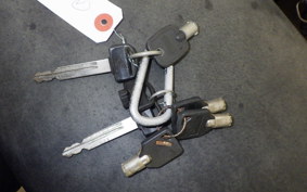 HONDA ZOOMER 2024 AF58