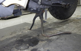 HONDA ZOOMER 2025 AF58