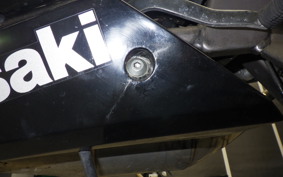 KAWASAKI NINJA150RR 2011