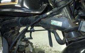 HONDA GORILLA 2020 Z50J