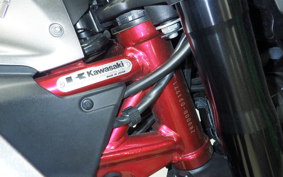 KAWASAKI Z900 Gen.2 2020 ZR900B