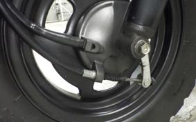 HONDA ZOOMER 2024 AF58