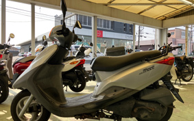 YAMAHA AKUSHI STREET SE53J