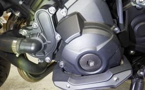 YAMAHA MT-09 ASP 2019 RN52J