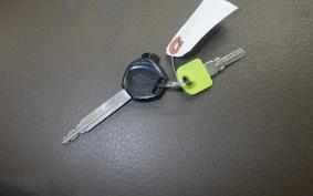 HONDA ZOOMER 2025 AF58