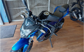 KAWASAKI Z250 SL BR250E