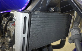 HONDA HORNET 250 MC31