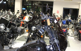 HARLEY FXLRS 2022 YWZ