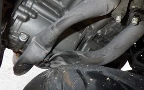 YAMAHA YZF-R3 2025 RH25J