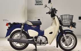 HONDA C110 SUPER CUB 2011 JA61