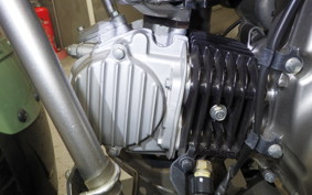 HONDA CT125 HUNTER CUB 2019 JA55