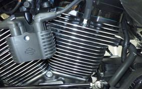 HARLEY FLTRXSE1980CVO 2024