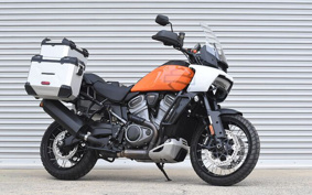 HARLEY PAN AMERICA 1250 2021 ZES