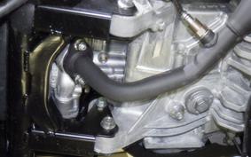 YAMAHA CYGNUS Griffus 1980 SEJ4J