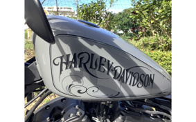 HARLEY XL1200NS 2020 LP3