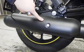 OTHER +ENFIELD ﾒﾃｵ350 2025